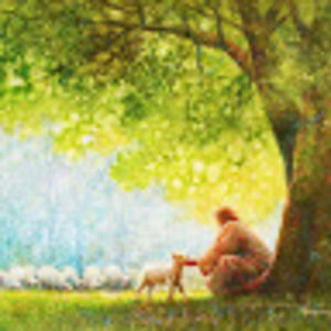 Meet your Posher, Alexander